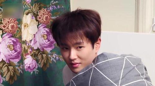 李贺吃瓜看娱乐圈